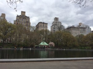 Central Park, NYC