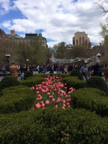 Washington Park, New York City