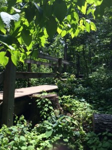 Starved Rock State Park, IL