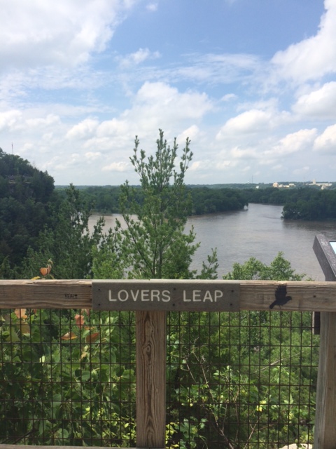 Top Five Friday, Where to Find Nature Near Chicago | RebeccaWanderlusting