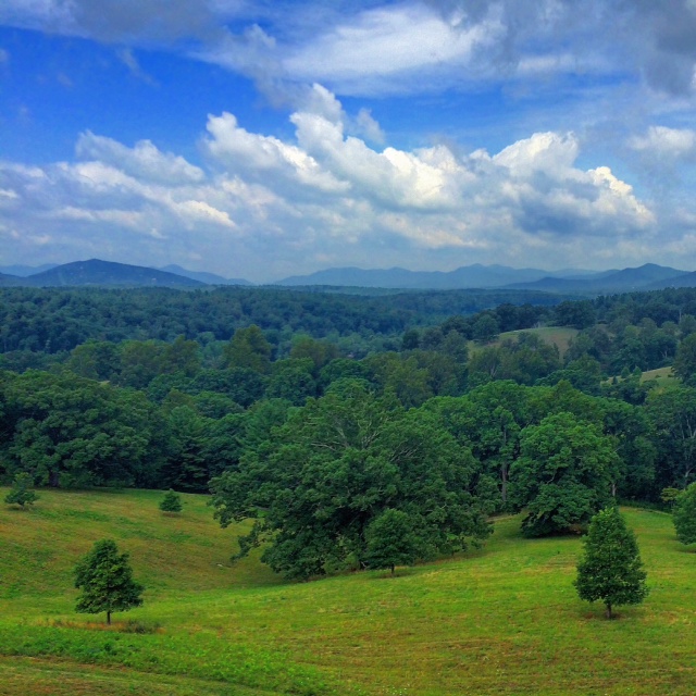 Biltmore Backyard, Asheville, NC