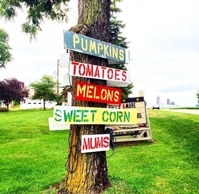 Erin, IL Farmer's Market