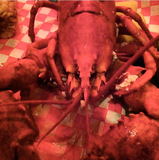 Culinary Misadventures in Miami | RebeccaWanderlusting