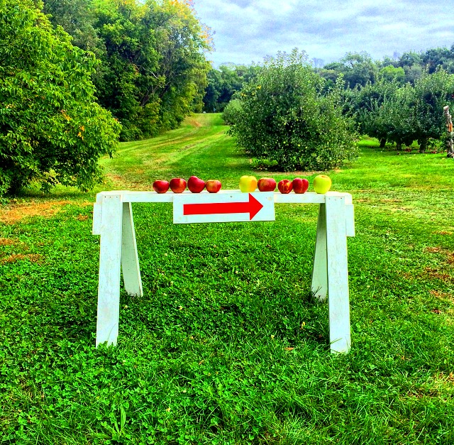 Oriole Springs Apple Orchard