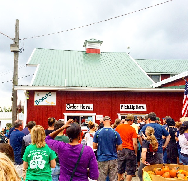 Oriole Springs Apple Orchard