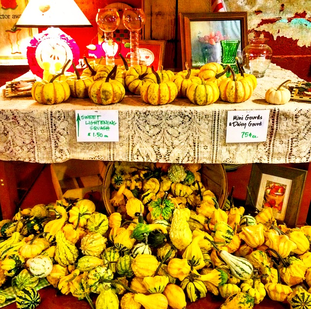 Oriole Springs Apple Orchard