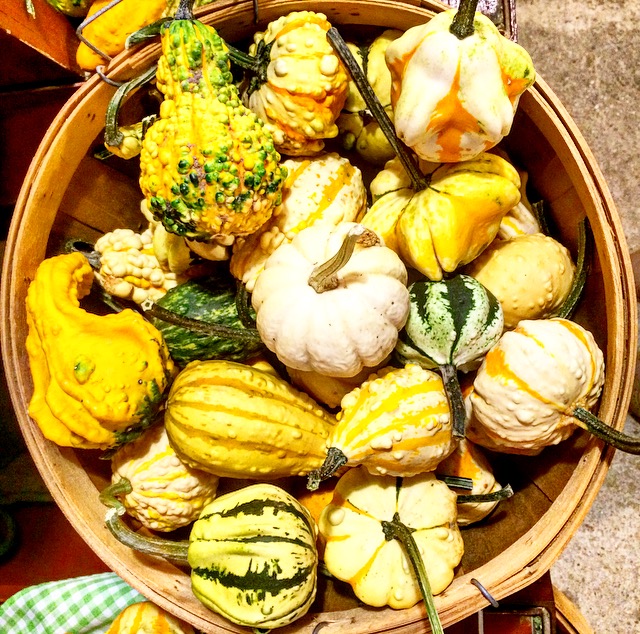 Oriole Springs Apple Orchard