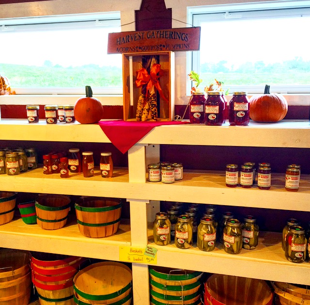 Oriole Springs Apple Orchard