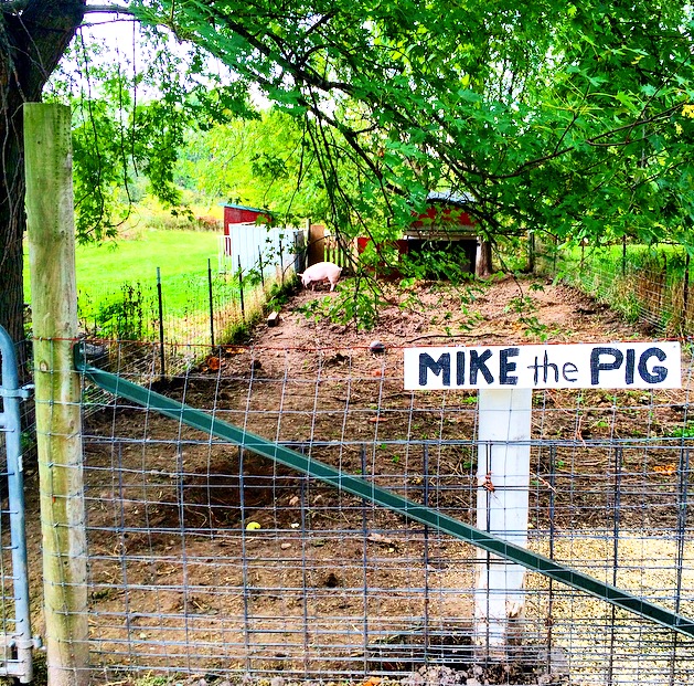 Oriole Springs Apple Orchard