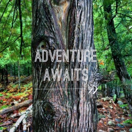 Top Five Travel Quotes on rebeccawanderlusting.com