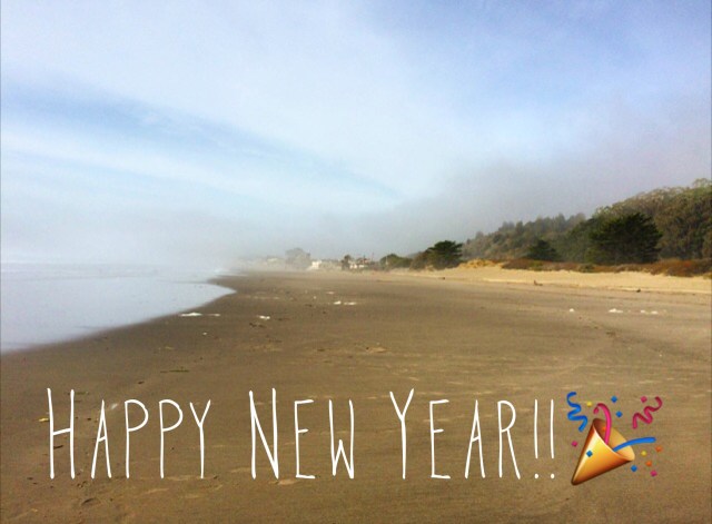 Happy New Year!