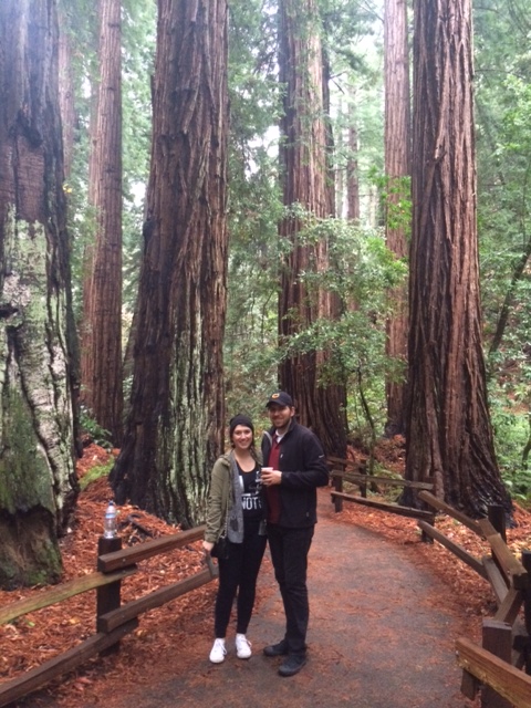Muir Woods Hike