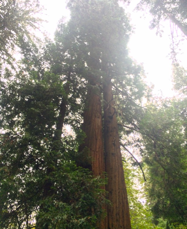 My 10 Favorite U.S. Hikes, RebeccaWanderlusting