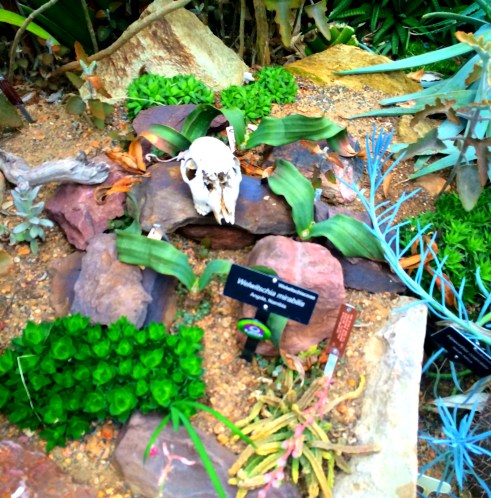 US Botanical Gardens 4.jpg