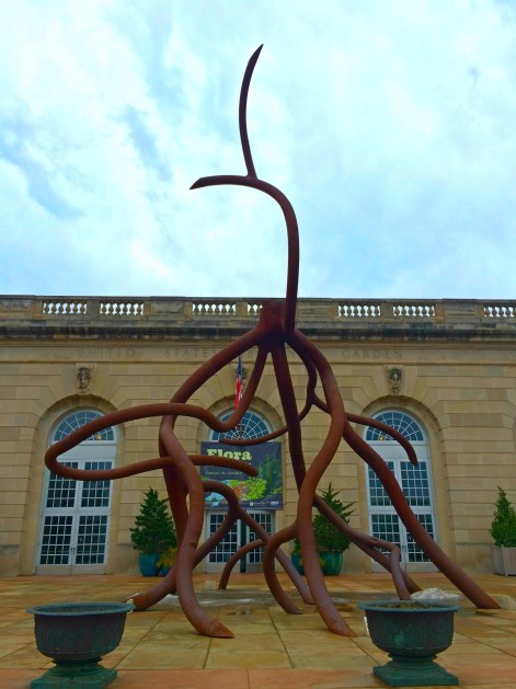 US Botanical Gardens.jpg