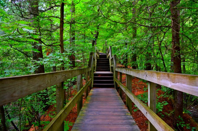 Hiking Matthiessen State Park, RebeccaWanderlusting