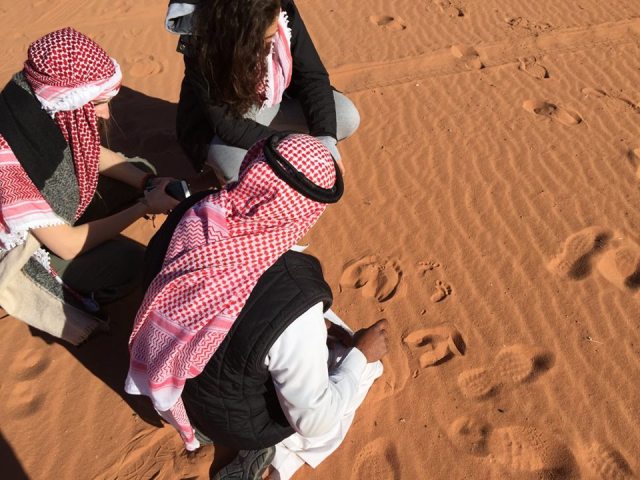 Day Trips from Amman by Gracie Barrie, RebeccaWanderlusting