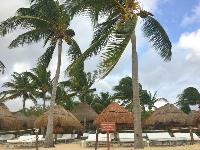 Playa Del Carmen, Mexico, RebeccaWanderlusting