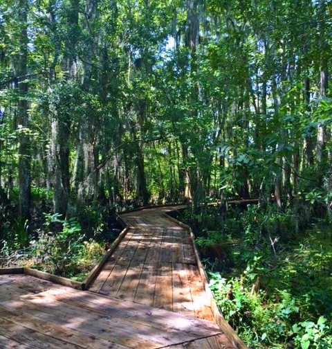 National Park, 100 years, RebeccaWanderlusting