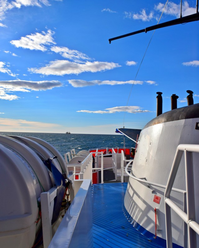 Elding Whale Watching Tour, Reykjavik, RebeccaWanderlusting