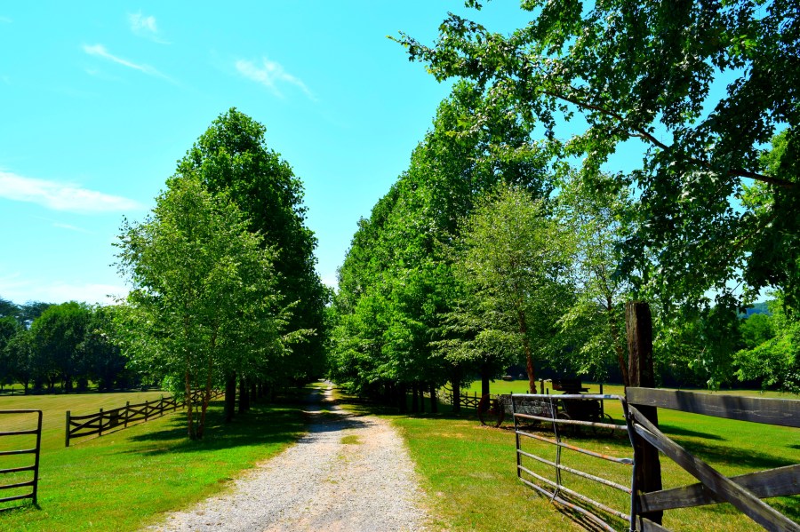 Trip Planning: Traverse City, MI, RebeccaWanderlusting