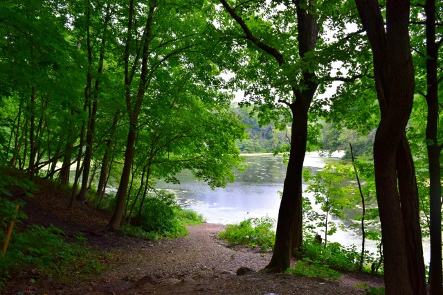 Hiking Matthiessen State Park, RebeccaWanderlusting