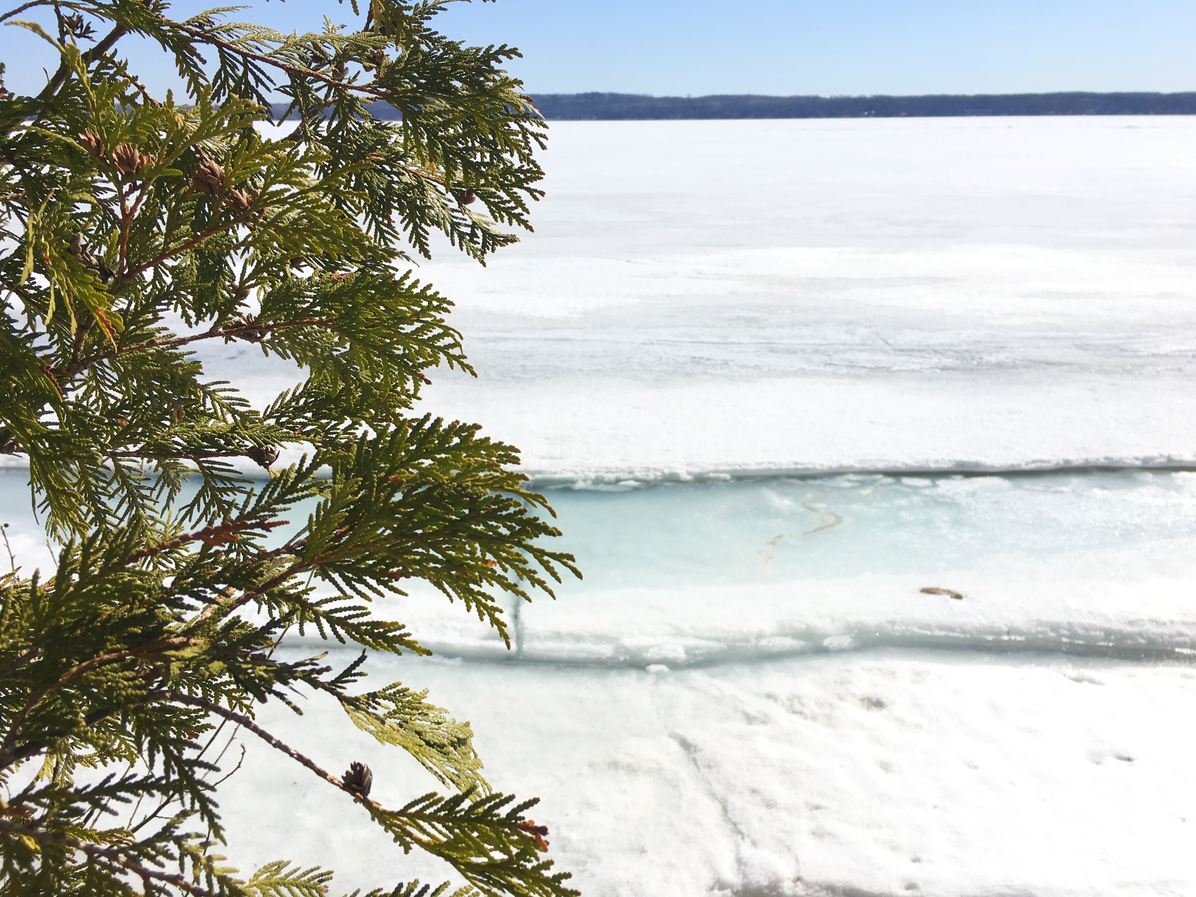 Potawatomi State Park, Sturgeon Bay, Door County