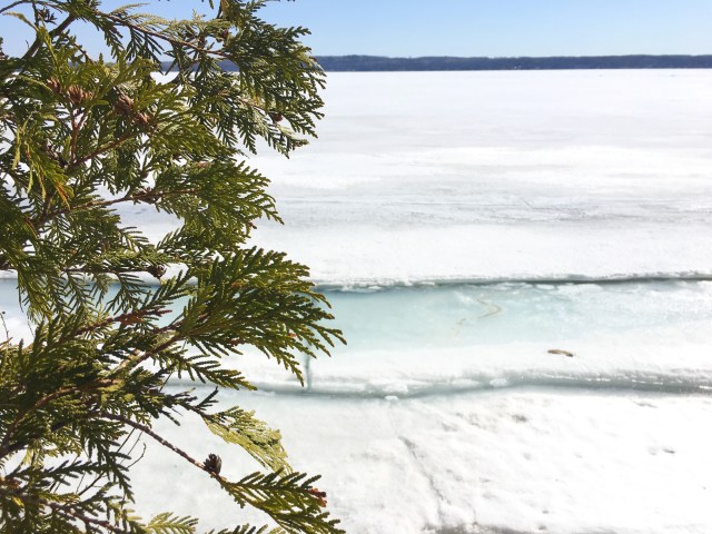 Potawatomi State Park, Sturgeon Bay, Door County
