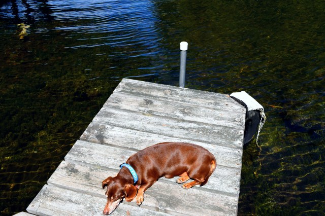 Up North, Maiden Lake, WI, RebeccaWanderlusting