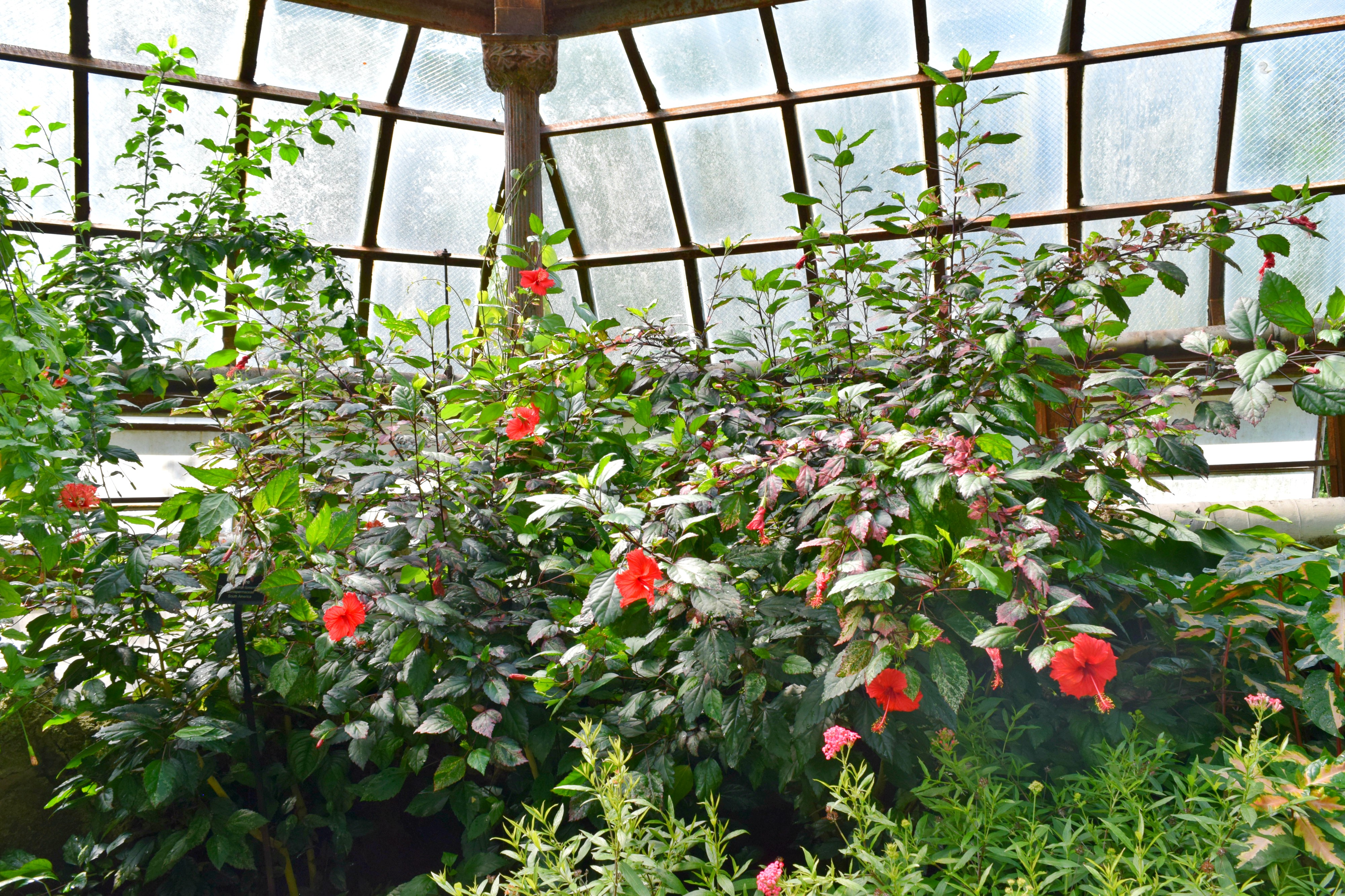 Lifestyle, Monthly Memo, August, RebeccaWanderlusting