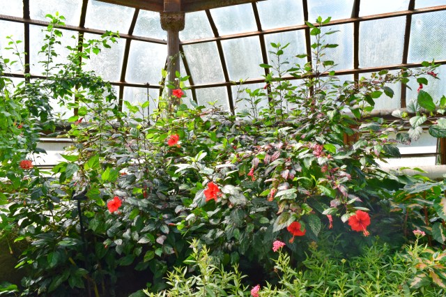 Lifestyle, Monthly Memo, August, RebeccaWanderlusting