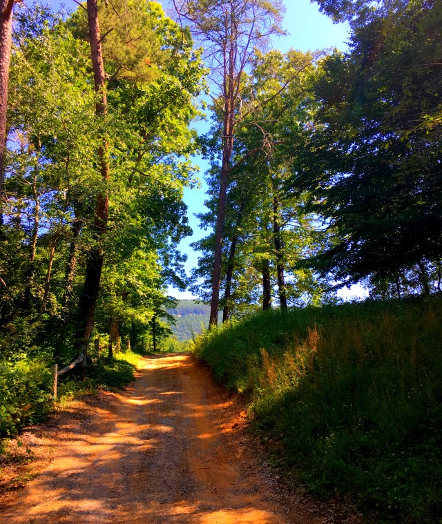 Country Lane, Falling Water, TN, RebeccaWanderlusting