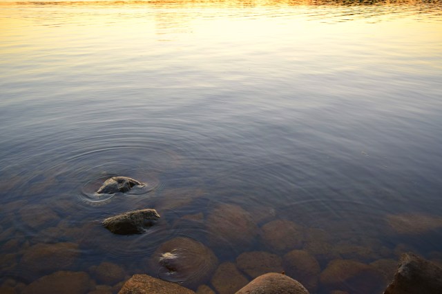 Up North, Maiden Lake, WI, RebeccaWanderlusting