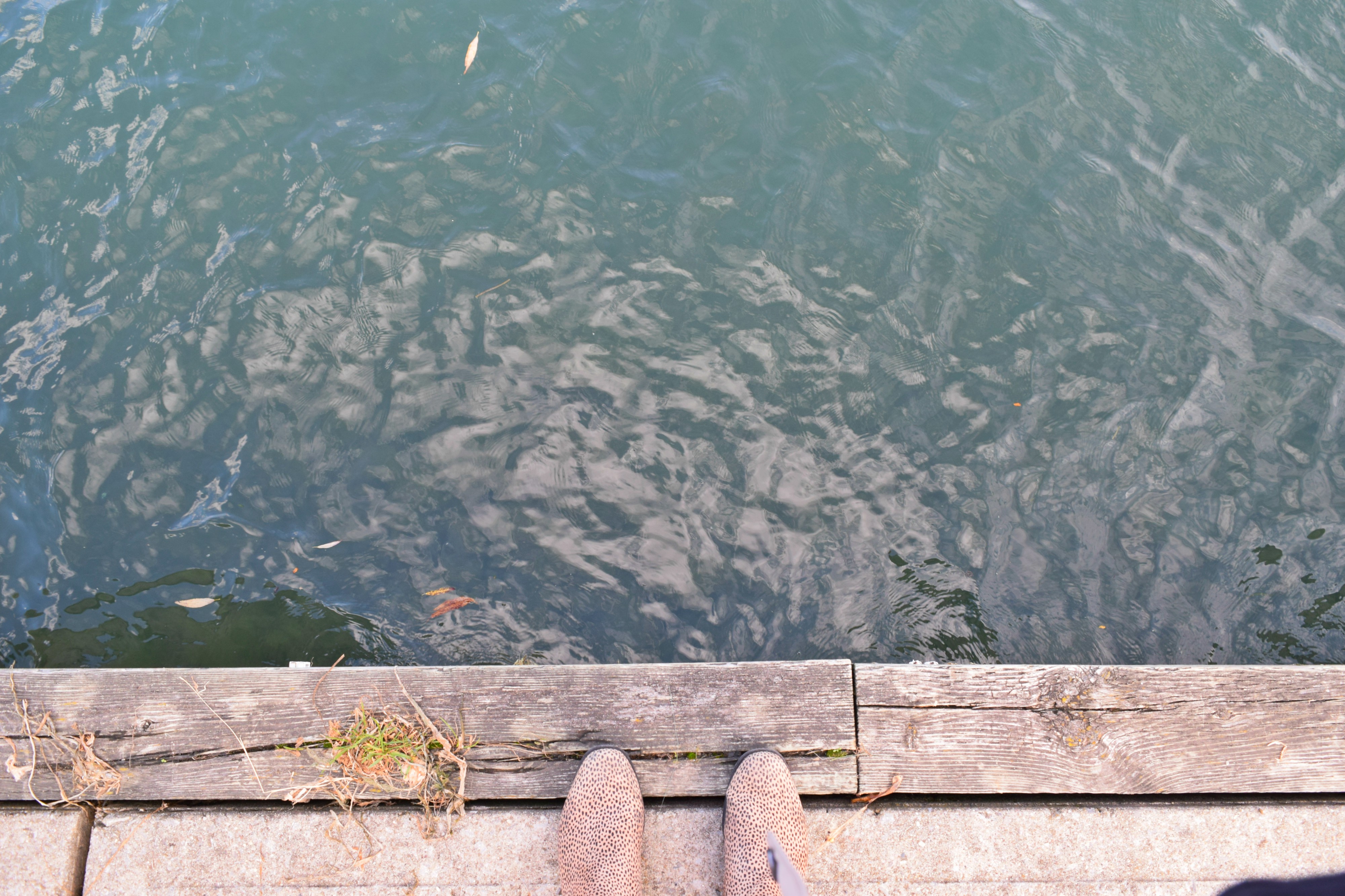 Year in Review, 2018 Travel Goals | RebeccaWanderlusting