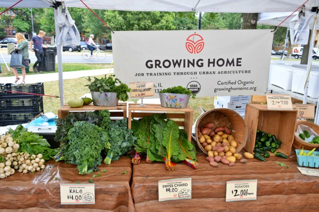 Logan Square Farmers Market, Chicago | RebeccaWanderlusting