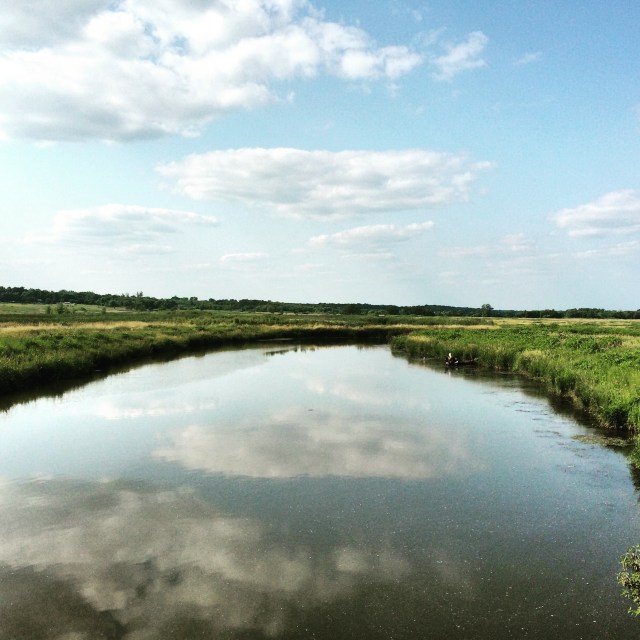 Top Five Friday, Where to Find Nature Near Chicago | RebeccaWanderlusting