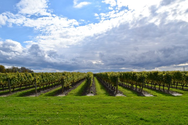 Niagara On The Lake, Ontario | RebeccaWanderlusting