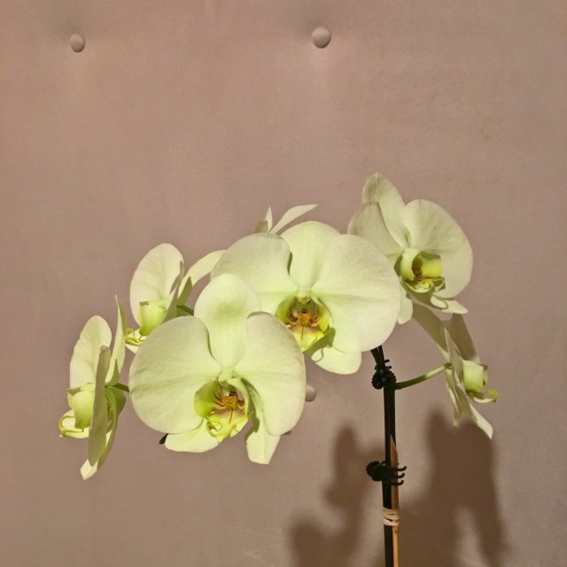 Four Seasons Spa, Chicago, Spa Day, RebeccaWanderlusting