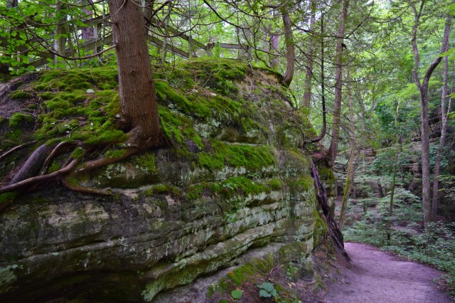 Hiking Matthiessen State Park, RebeccaWanderlusting