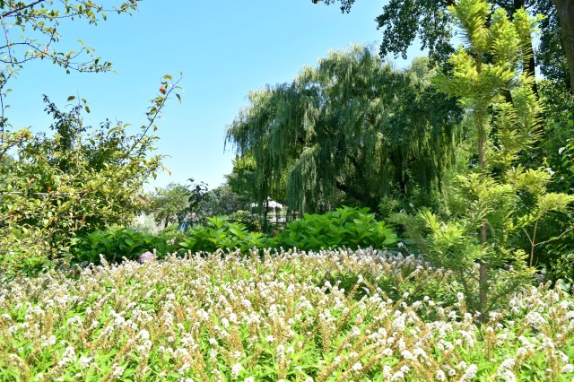 Year in Review, 2018 Travel Goals | RebeccaWanderlusting