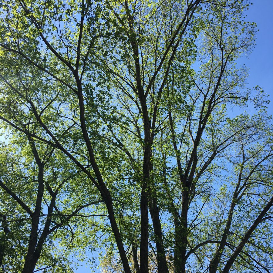 Monthly Memo, May, RebeccaWanderlusting