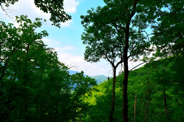 Laurel Falls Hike, Smoky Mountains National Park, RebeccaWanderlusting