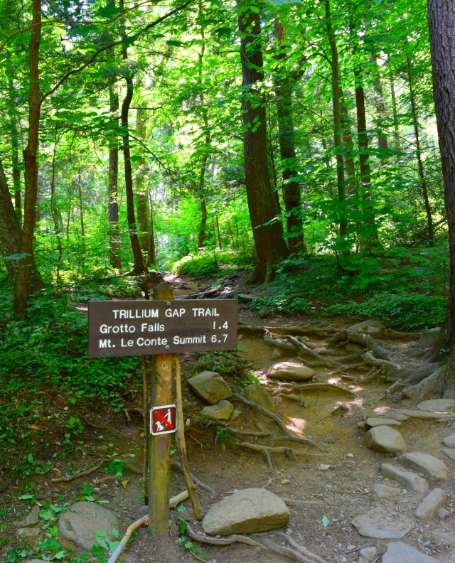 Grotto Falls Trailhead, Smoky Mountains, RebeccaWanderlusting