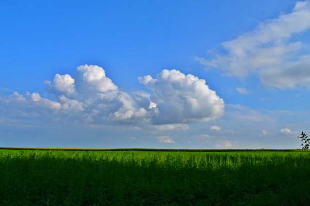 KOA Campground, RebeccaWanderlusting