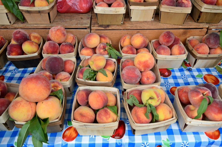 Logan Square Farmers Market, Chicago | RebeccaWanderlusting.com