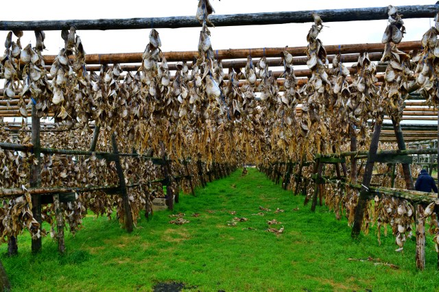 Reykjanes Peninsula Tour, Iceland, RebeccaWanderlusting