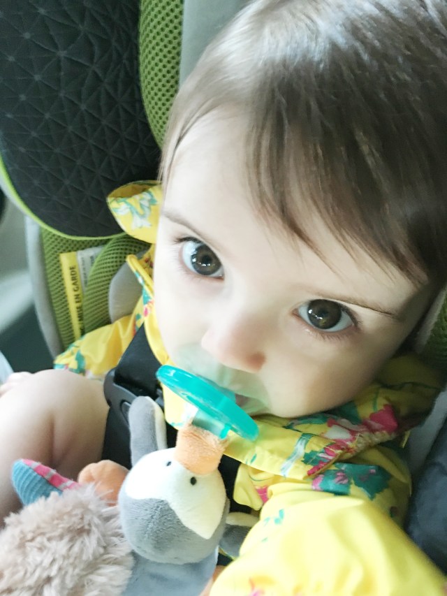 Road Tripping with a Baby, rebeccawanderlusting