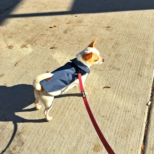 Life Happens, Change of Plans, RebeccaWanderlusting