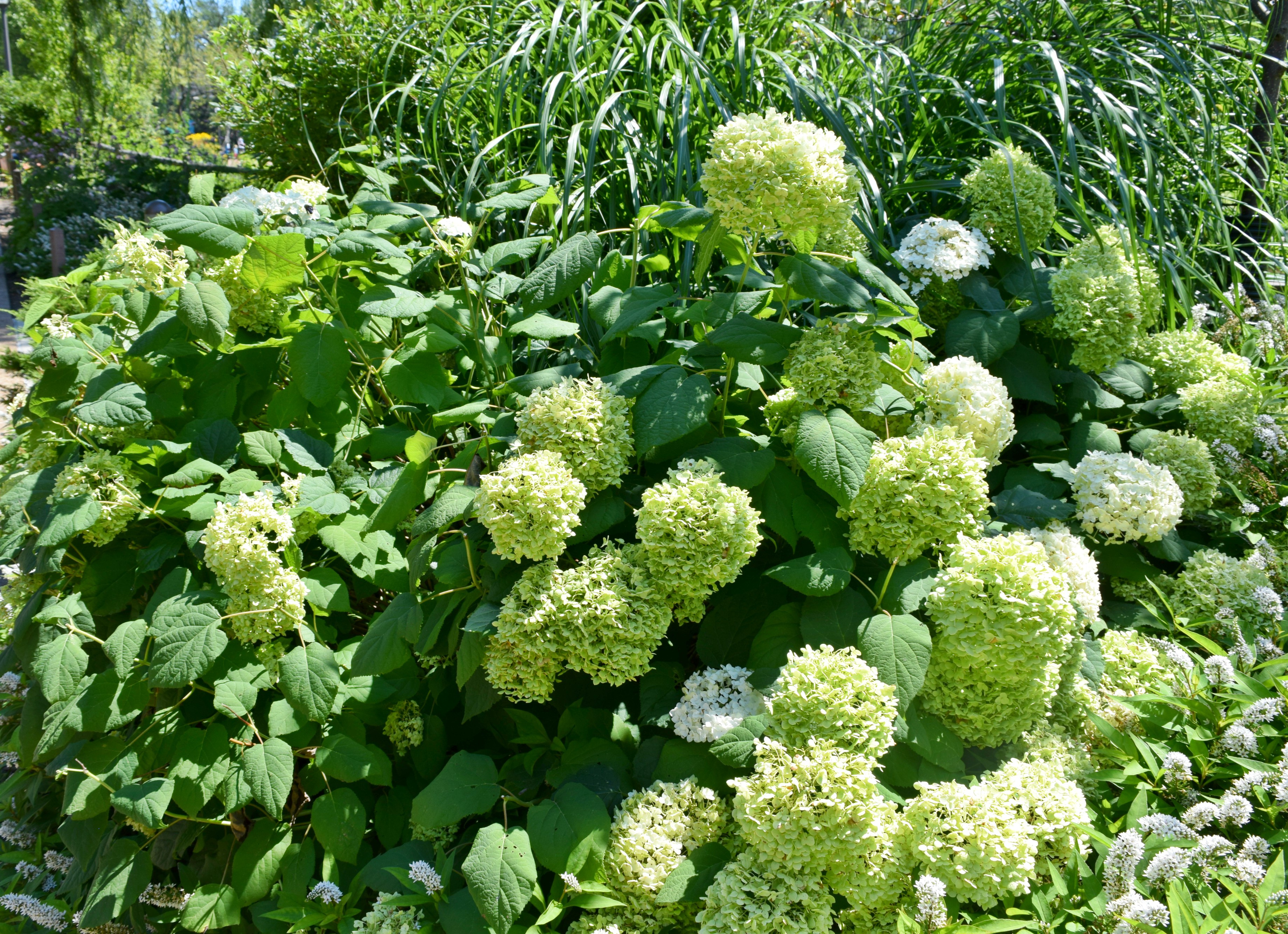 Monthly Memo: September | RebeccaWanderlusting