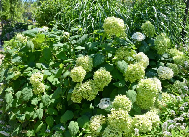 Monthly Memo: September | RebeccaWanderlusting